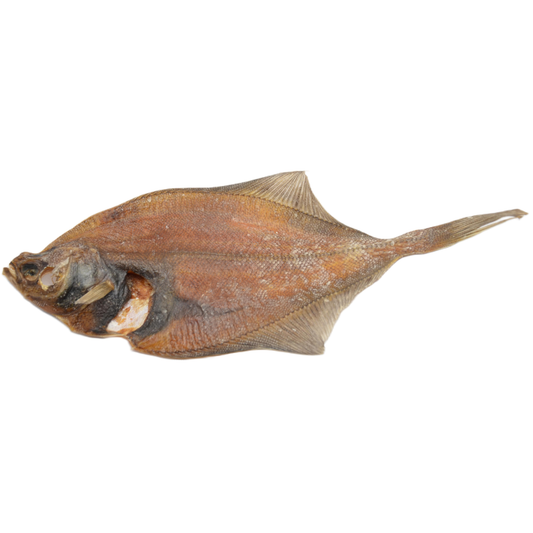 Rock sole (Lepidopsetta polyxystra)