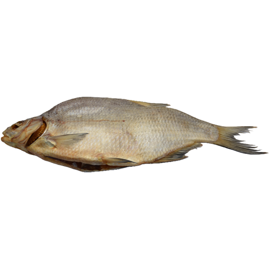 Bream (Abramis brama)