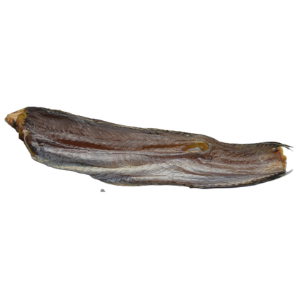 Hake (Merluccius merluccius)