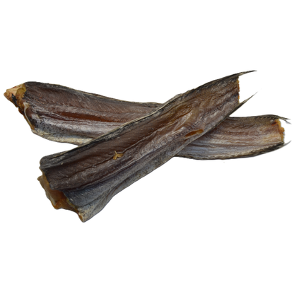 Hake (Merluccius merluccius)