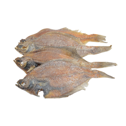 Rock sole (Lepidopsetta polyxystra)