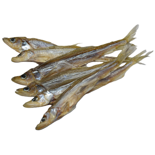 Smelt (Osmerus eperlanus)